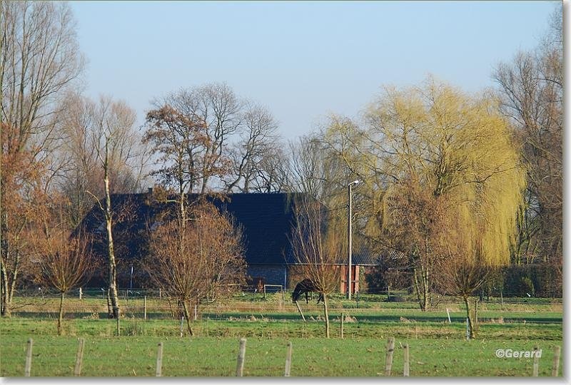 Achterhoek 2 .JPG - Achterhoek